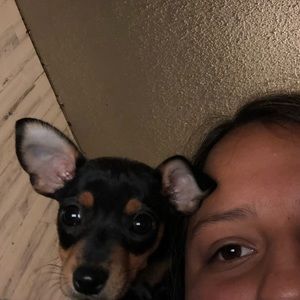 Meet your Posher, Rosaura